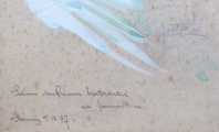 Otto Peters - Secesní hnědovláska (4).JPG