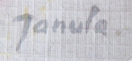 František Janula - Tóny (4).JPG