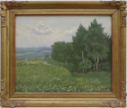 Jaroslav Krepčík - Kvetoucí louka u remízku (1).JPG
