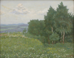 Jaroslav Krepčík - Kvetoucí louka u remízku (2).JPG
