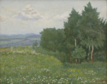 Jaroslav Krepčík - Kvetoucí louka u remízku (3).JPG