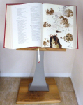 Bible s unikátními ilustracemi - Salvador Dalí + zakázkový umělecký stojan na knihu
