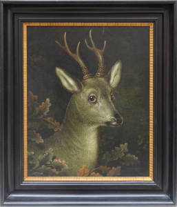 Hlava srnce s parožím - šesterák, křižák (1).JPG