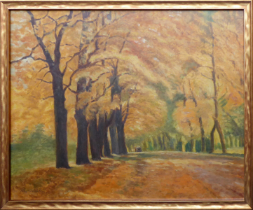 Podzimní alej (1).JPG