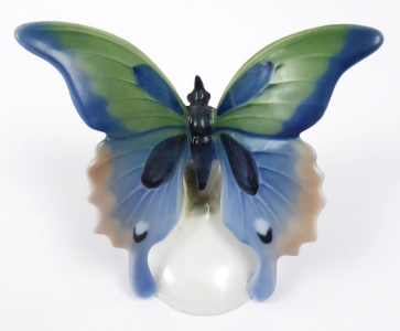 66834_motyl-rosenthal-otto-koch_1.jpg